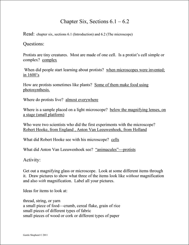 Real Science-4-Kids Biology Review Activities example page -- chapter 6